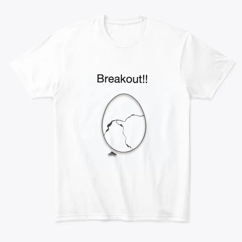 Breakout shirt